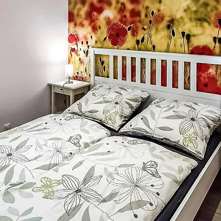 Lovely In With Wifi *